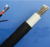 WDZ-DCK，WDZ-DCKP-125，DCEVM機車電纜